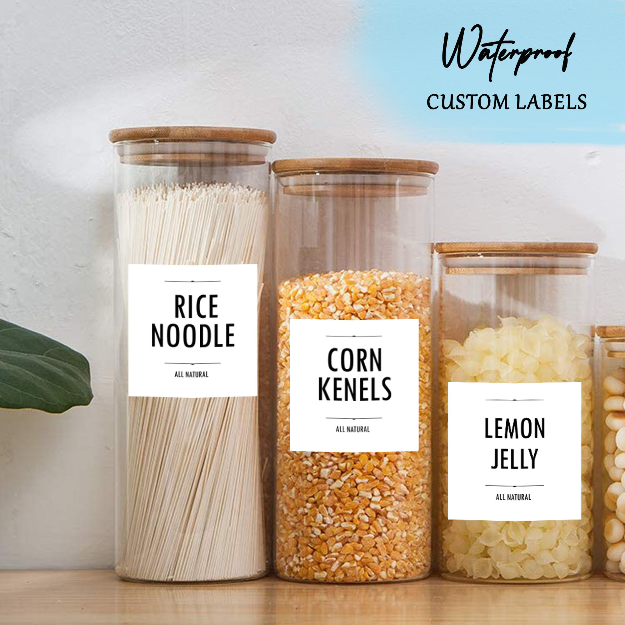 Short Spice Jar Label Front Set • Modern Minimalist • Waterproof