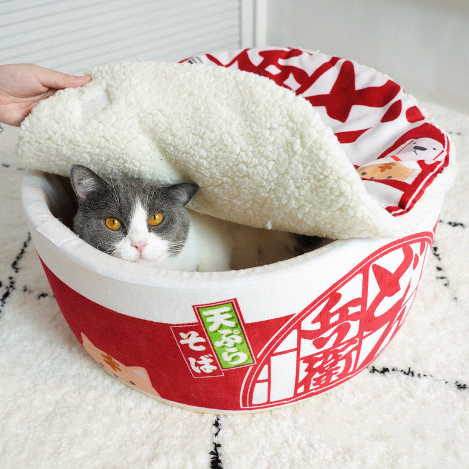 Cat Bed Dog Bed Instant Noodles Ramen Bowl Ramen Noodles Etsy