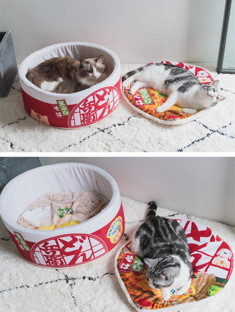Cat Bed Dog Bed Instant Noodles Ramen Bowl Ramen Noodles Etsy