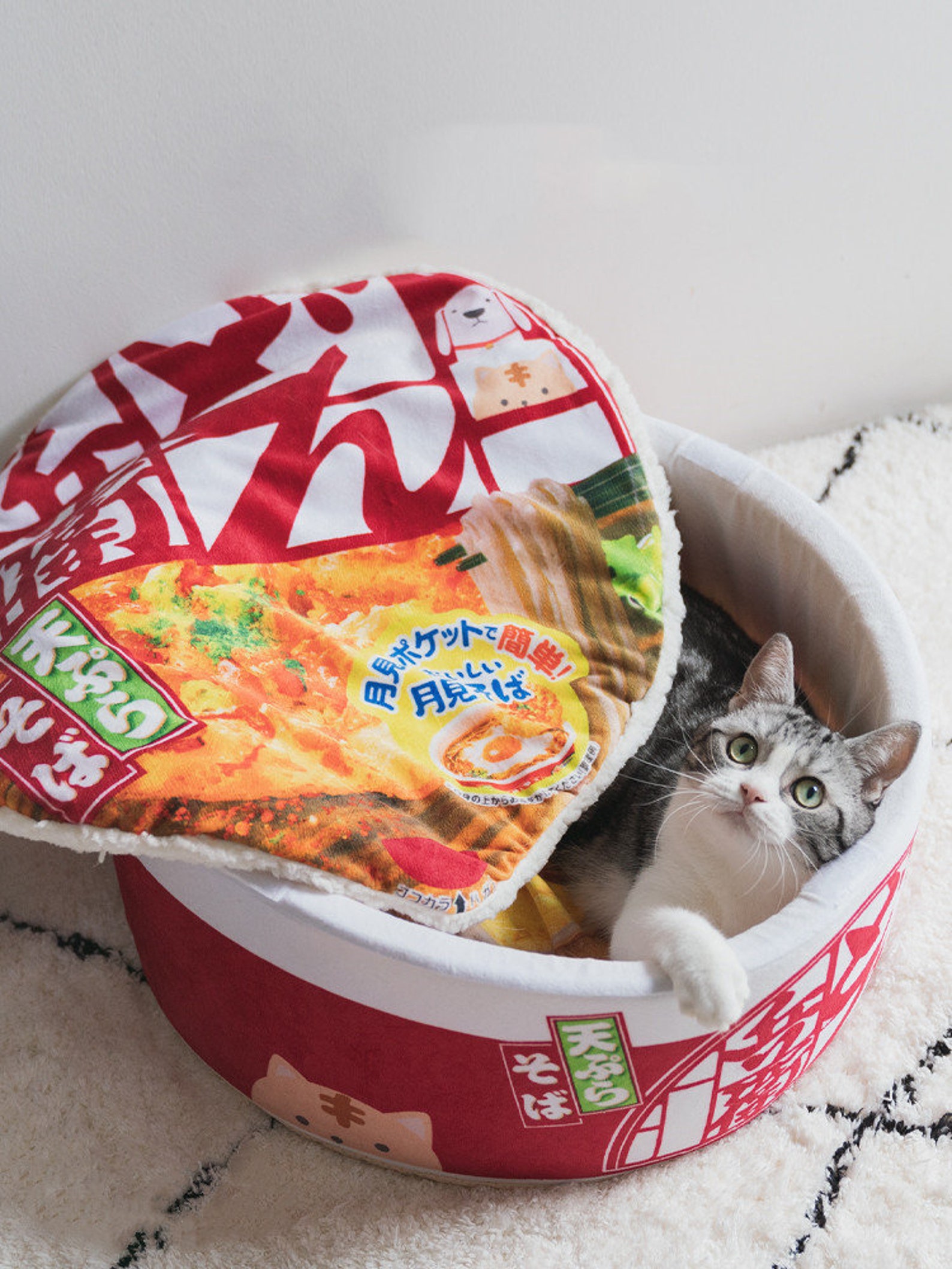 Cat Bed Dog Bed Instant Noodles Ramen Bowl Ramen Noodles Etsy