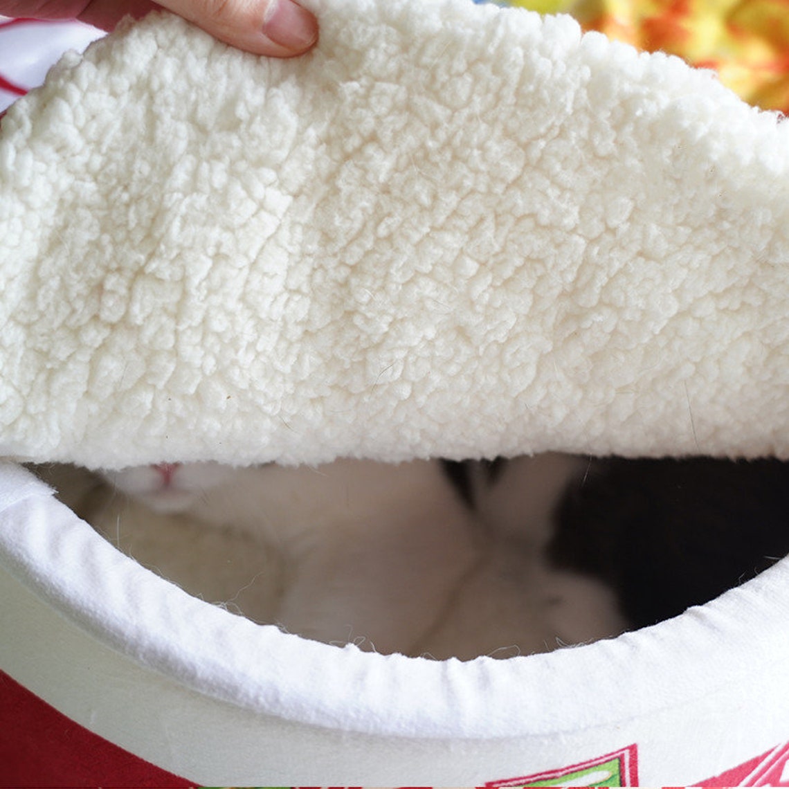 Cat Bed Dog Bed Instant Noodles Ramen Bowl Ramen Noodles Etsy