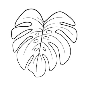 May include: A black and white line drawing of a monstera leaf. The leaf is large and has a heart shape. It has many holes and a central vein.
