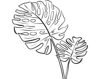 Monstera Plant Line Art Digital Download - Etsy