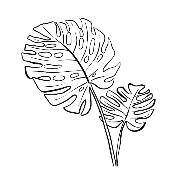 Monstera Plant 2 Digital Art Print Vector