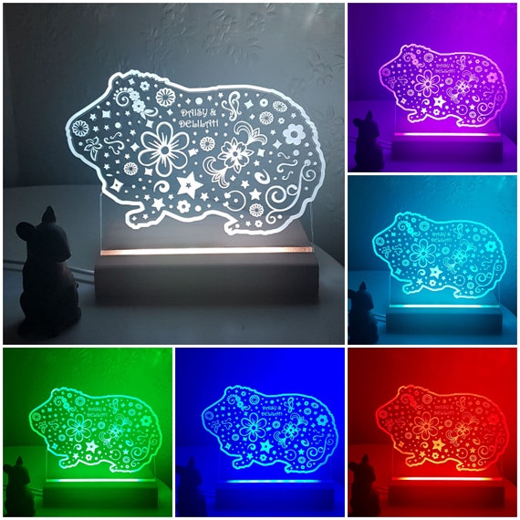 Low voltage night light deals