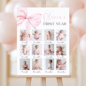 EDITIERBARE Rosa Schleife 1. Geburtstag Monatliche Meilensteintafel Fotovorlage Erstes Geburtstagskind Dekor Printable Canva
