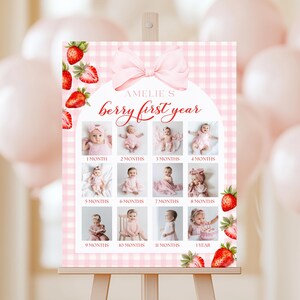 May include: A pink and white gingham background with a pink bow and red strawberries. A photo collage of a baby girl's first year with the text "AMELIE'S berry first year".