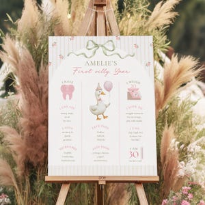 Può includere: Un cartello decorativo su un cavalletto, con la scritta "AMELIE'S First silly Year". Il cartello include un'illustrazione a fumetti di un'oca che tiene in mano un palloncino e dettagli sul primo anno del bambino. Il cartello è alto 76 cm.