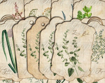 May include: Set of 18 vintage-style printable tags featuring illustrations of various herbs, including thyme, sage, chives, and lemon balm. The tags are beige with a distressed look and have a scalloped edge. The text "Herbal Goodness Tags - Set of 18" is at the bottom of the image.