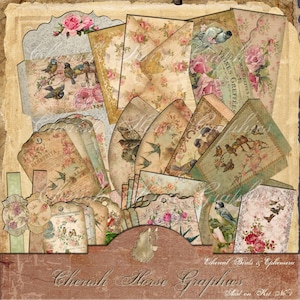 Kit complementar do Vintage Birds Junk Journal - Ethereal Birds and Ephemera - download instantâneo de colagem digital para impressão