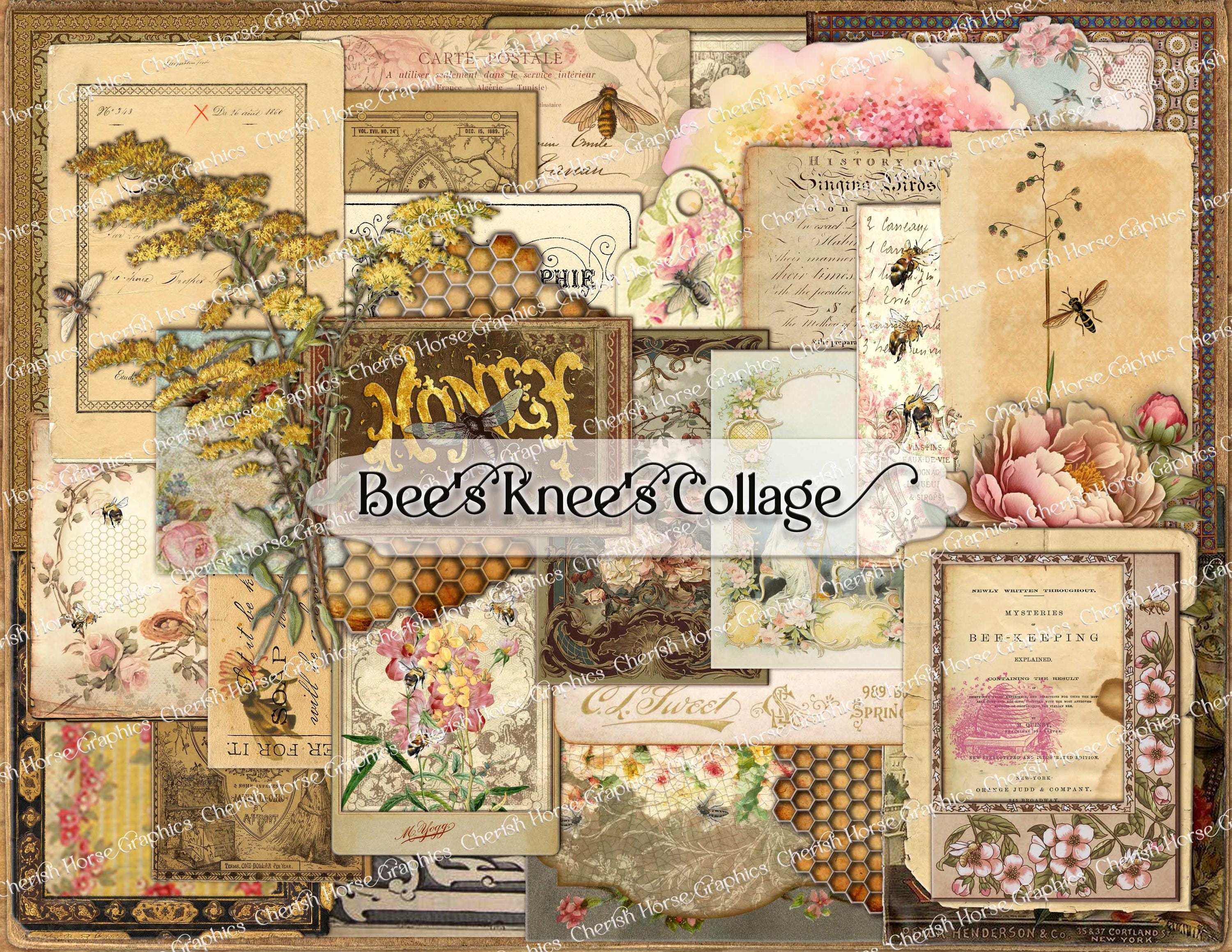 Bee Collage Page – Vintage Ephemera Scrapbook, Arts & Crafts (digital ...