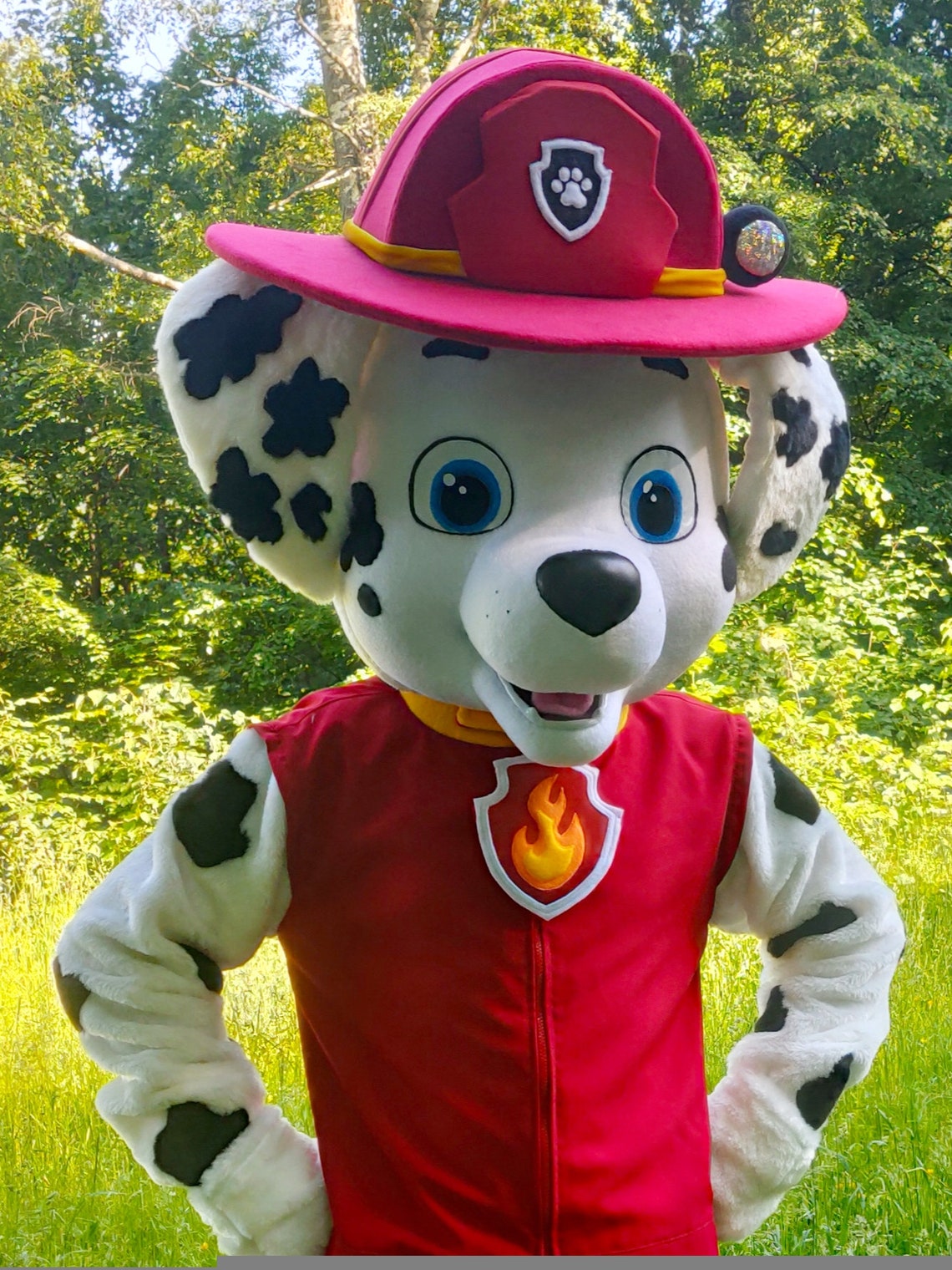 Marshall mascot. Marshall costume. Mascot costume. Marshall Etsy