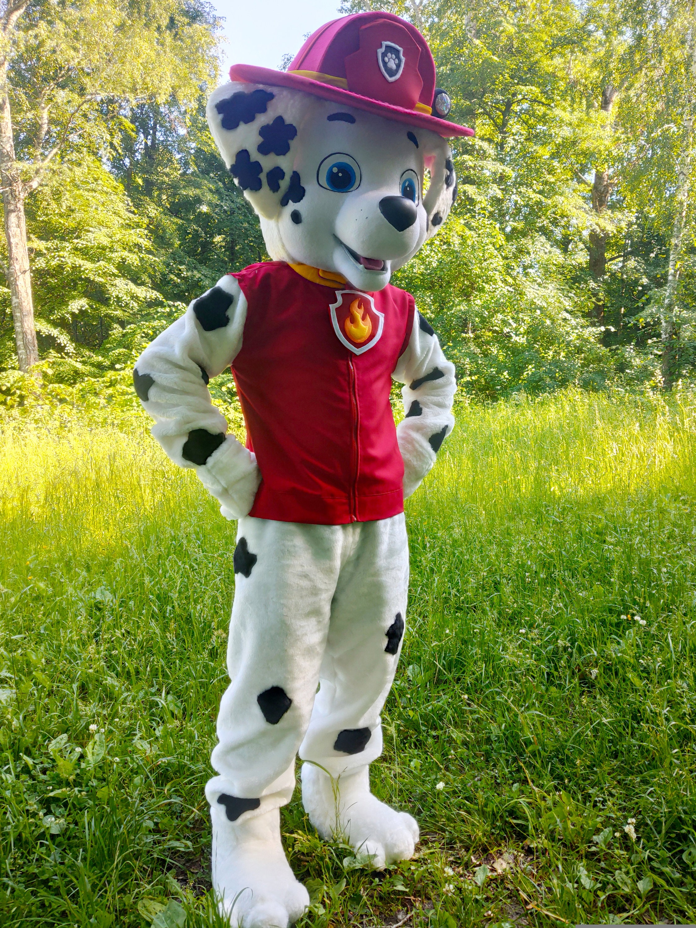 Marshall mascot. Marshall costume. Mascot costume. Marshall Etsy