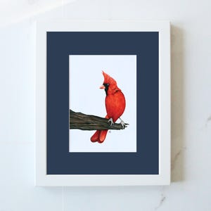 Cardinal Bird Print: Original Colored Pencil Drawing, Matted Wall Art