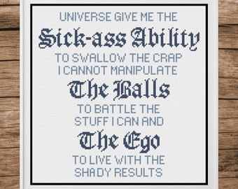 May include: A white framed cross-stitch with blue text that reads "Universe give me the sick-ass ability to swallow the crap I cannot manipulate the balls to battle the stuff I can and the ego to live with the shady results."