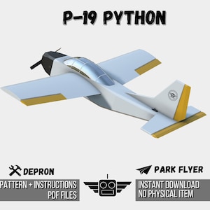 DIY Foam RC Plane - PDF Plan-P19 python - Instant Download