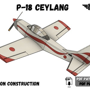 DIY Depron  RC Airplane -P18 Ceylang-PDF plan and Template -  Parkflyer - Fun Fly - Instant  download