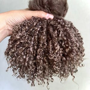 Organic Milk Chocolate Teeswater Mohair Fleece – Curly Doll Hair for Rerooting, BJD, Waldorf (Pre-Order)