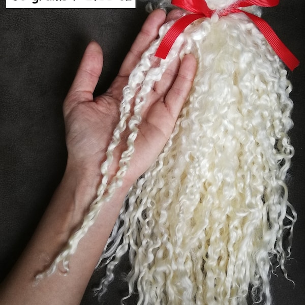 Très long mohair biologique lavé pour cheveux de poupée 11-12" / polaire Teeswater