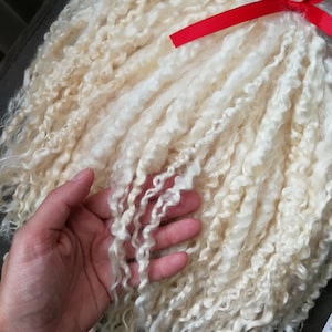 Mohair orgánico lavado para cabello de muñecas de 10 a 12 pulgadas / Vellón Teeswater: suave y natural