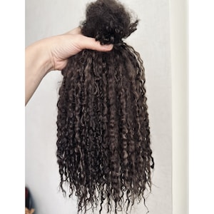 Hand Dyed Dark Chocolate Teeswater Fleece: Organic Curly Locks for Doll Hair