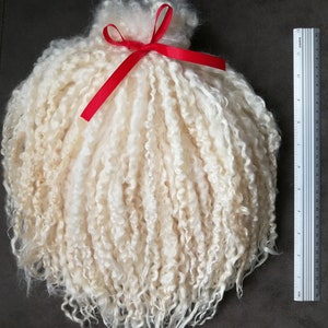 May include: A bundle of off-white, curly, long-staple wool fibers tied at the top with a bright red ribbon. A white ruler is positioned to the right, showing the bundle measures approximately 11 inches in length from top to bottom.