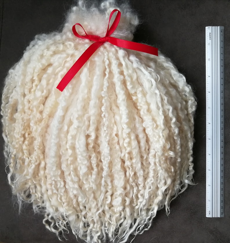 May include: A bundle of off-white, curly, long-staple wool fibers tied at the top with a bright red ribbon. A white ruler is positioned to the right, showing the bundle measures approximately 11 inches in length from top to bottom.
