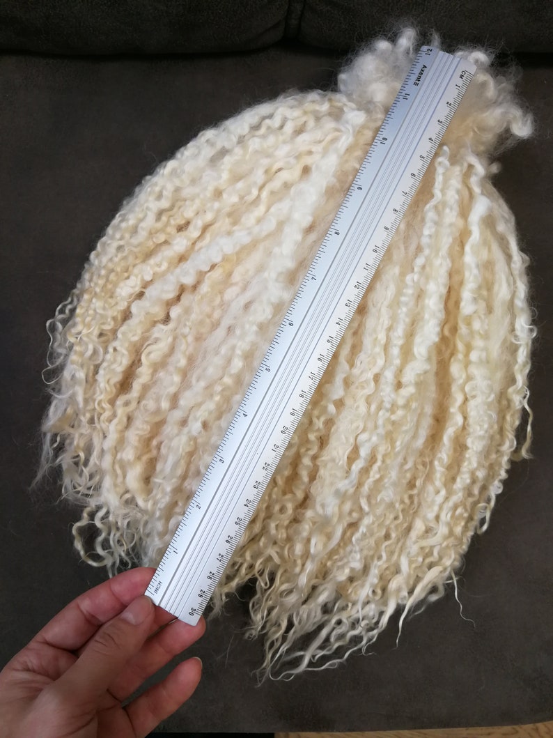 May include: A bundle of off-white, curly, raw animal fiber locks positioned next to a clear plastic ruler. The ruler shows the fiber locks measure approximately 11.5 inches in length. The texture is long, wavy, and soft in appearance.