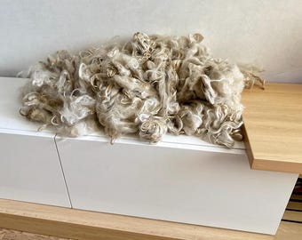 未加工アンゴラヤギモヘア繊維 – 天然紡績、フェルト、人形の髪用 (960g)