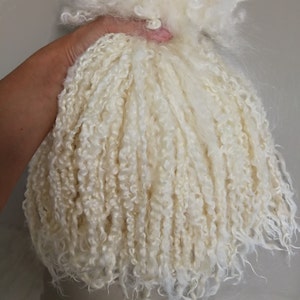 May include: A bundle of raw, off-white curly wool locks with a soft, textured appearance. The fibers are long, fine, and exhibit a natural spiral crimp throughout the length of the strands, creating a voluminous and dense cluster of natural animal fleece.