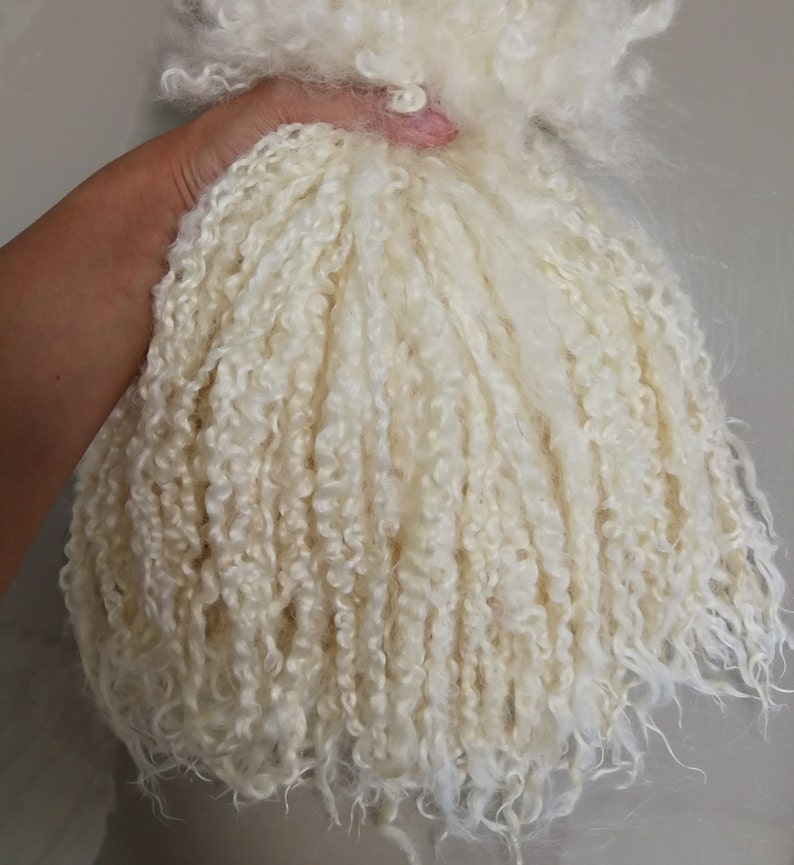 May include: A bundle of raw, off-white curly wool locks with a soft, textured appearance. The fibers are long, fine, and exhibit a natural spiral crimp throughout the length of the strands, creating a voluminous and dense cluster of natural animal fleece.