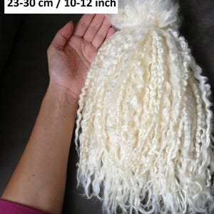 Peut inclure: Un lot de m&egrave;ches de laine blanc cass&eacute;, longues et boucl&eacute;es. Le texte sur l'image indique un poids de 60 grammes et une longueur de 23 &agrave; 30 cm. Les fibres pr&eacute;sentent une texture ondul&eacute;e et sont dispos&eacute;es en un faisceau vertical dense.