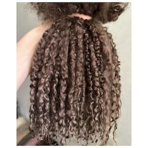 Hand Dyed Chocolate Teeswater Fleece: Organic Doll Hair (10-12&quot; Long)