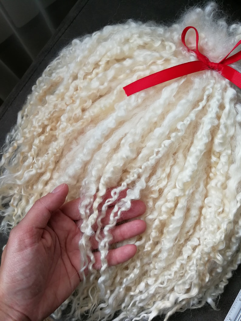 May include: A bundle of off-white, curly, long-staple wool fibers tied together with a bright red ribbon. The texture is soft and ringlet-like, with individual locks cascading downward. A portion of a white ruler is visible in the bottom corner.
