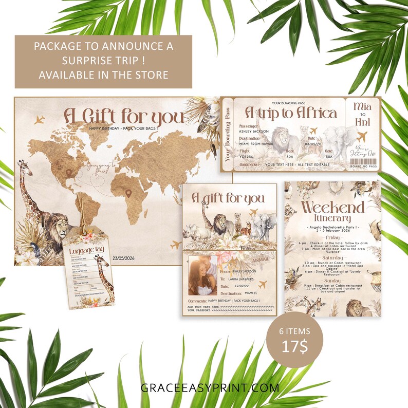 African Safari Boarding Pass Africa Plane Ticket Safari Etsy