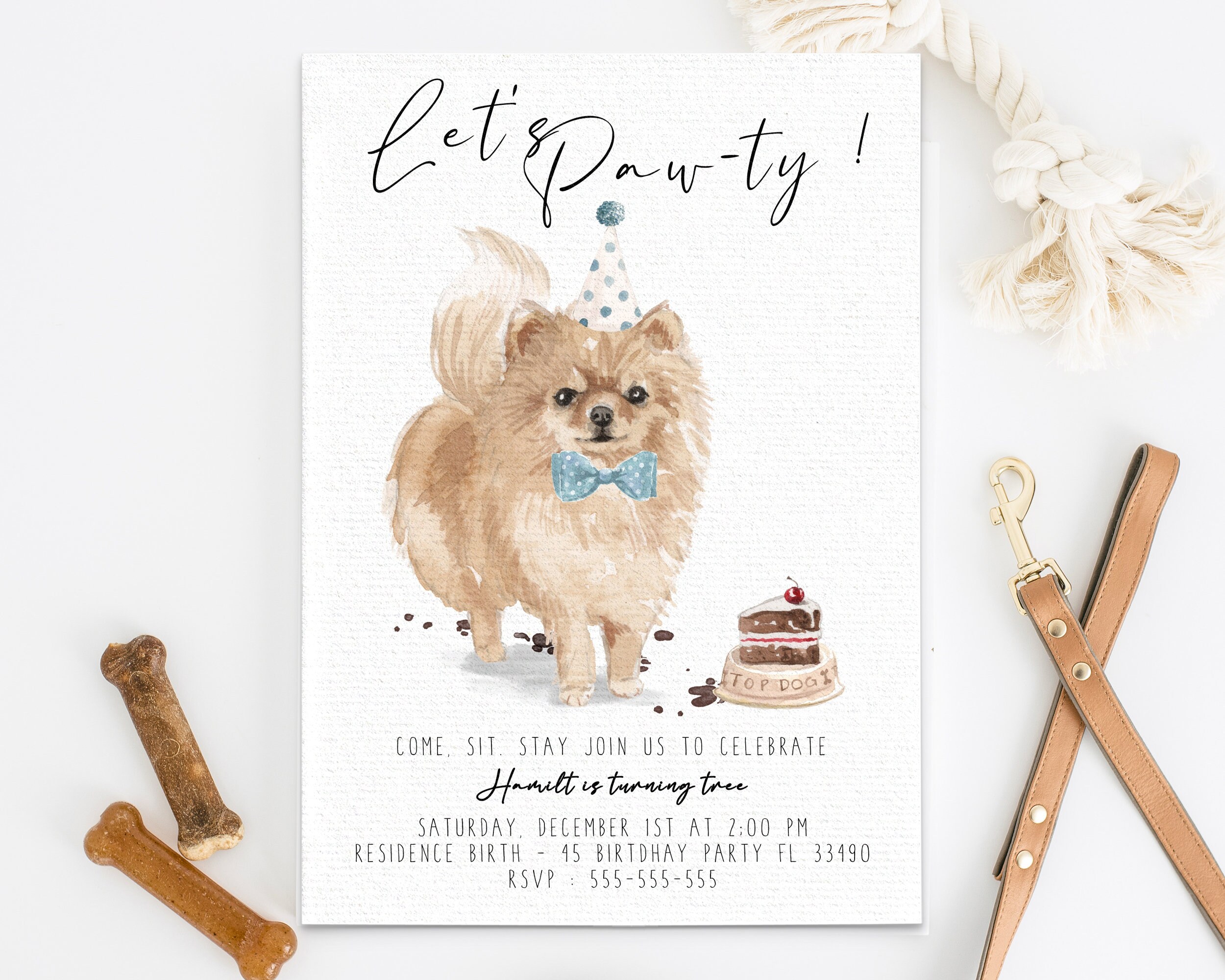 Pomeranian party best sale