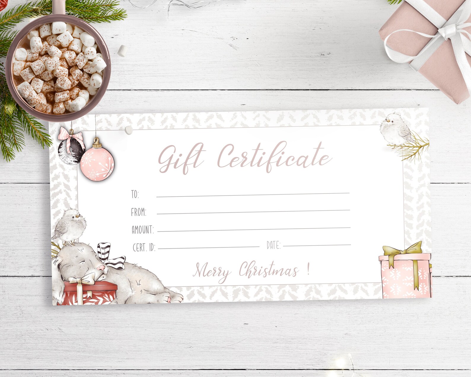 Gift Certificate Template Baby Gift Voucher Printable Gift Etsy
