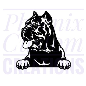 Cane Corso Car Window Decal