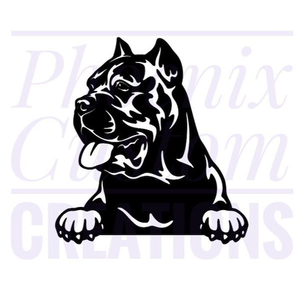 Cane corso car decals Outlet