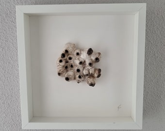 Organic object made of flax porcelain in a deep frame, raku fired. Raku fired organic piece, framed