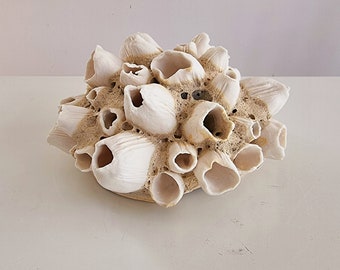 Handmade barnacles porcelain,  handgemaakte zeepokken van porselein.  Keramiek
