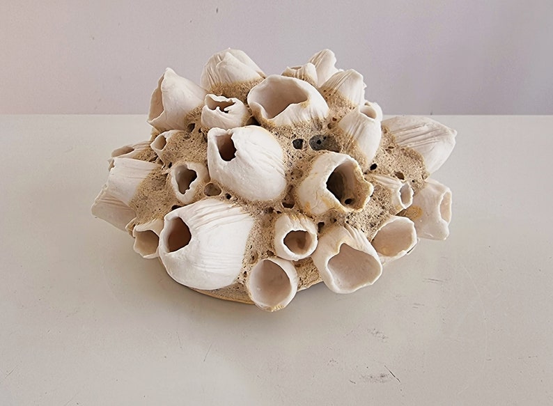 Handmade barnacles porcelain, handmade barnacles made of porcelain. Ceramics image 1