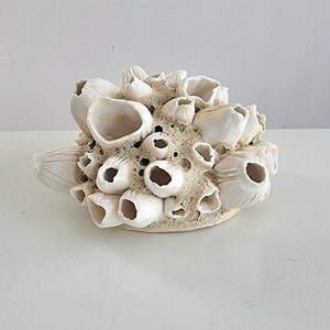 Handmade barnacles porcelain, handmade barnacles made of porcelain. Ceramics image 6