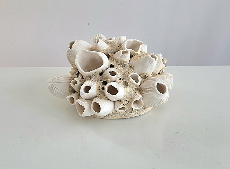 Handmade barnacles porcelain, handmade barnacles made of porcelain. Ceramics image 6