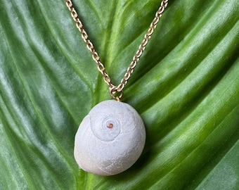 Sea Shell Necklace, Unique Beach Pendant, Snail Shell Necklace