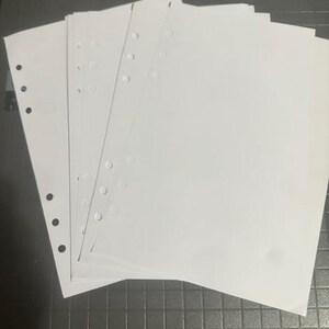 May include: A stack of white, lined paper sheets with pre-punched holes for a binder. The paper is clean and crisp, with a smooth surface. The sheets are fanned out slightly, showing the edges and the holes along the left side.