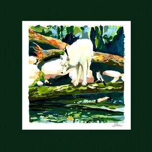Peut inclure: Un loup blanc se tient sur une bûche tombée au-dessus d'un ruisseau. Le loup regarde un petit oiseau perché sur la bûche. L'arrière-plan est une forêt verte luxuriante.