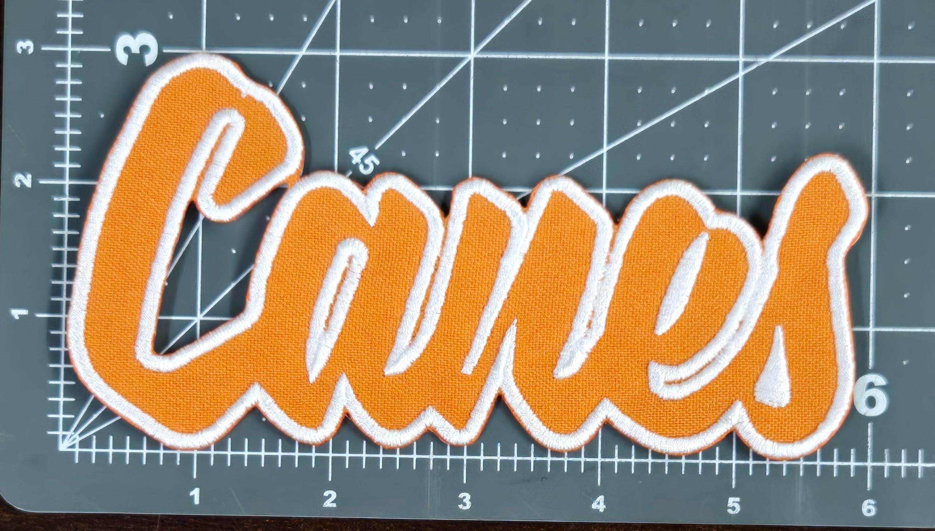 Canes Text Embroidered Applique Iron on Patch Various Sizes Team Name ...