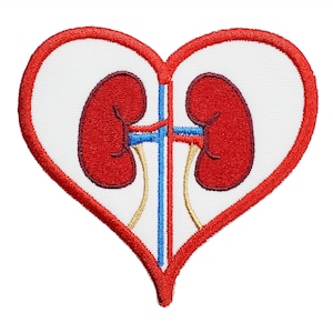 May include: Red heart-shaped patch with two red kidneys inside, connected by blue and yellow tubes.