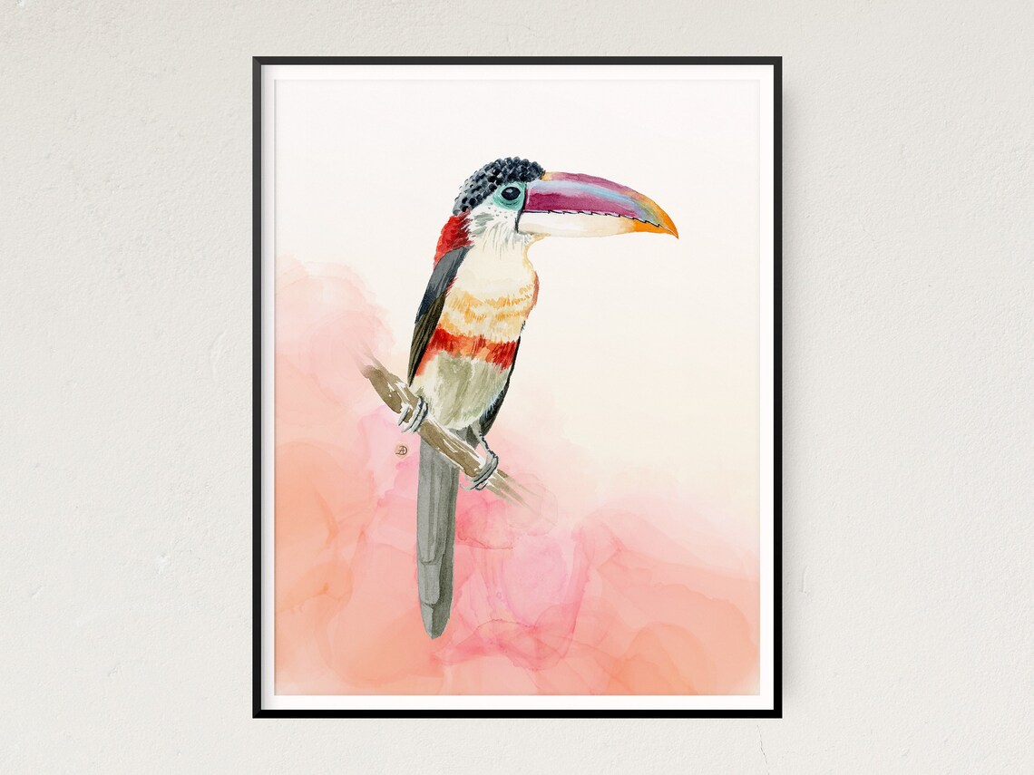 COLORFUL TOUCAN Cheerful and Quirky Wall Art for Girl Rooms Tropical